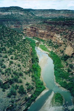 Dolores River Canyon, with the Hanging Flume barely visible as the horizontal line about 2/3 up the RH canyon wall.